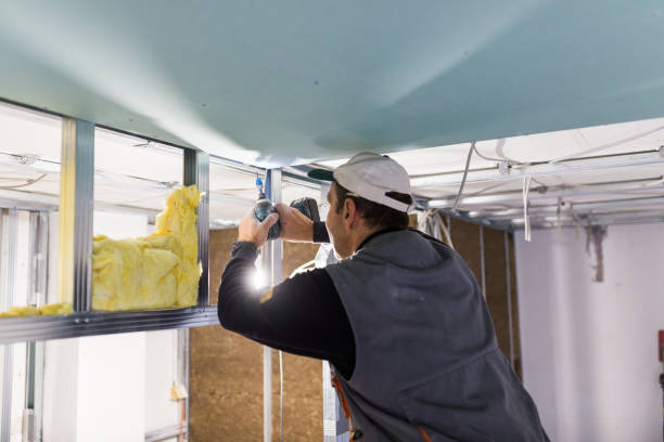 Types of Insulation We Offer in Manitou Springs, CO