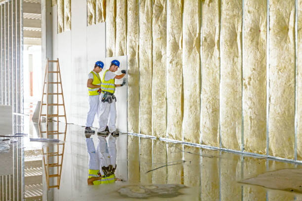 Best Specialized Insulation Services in Manitou Springs, CO
